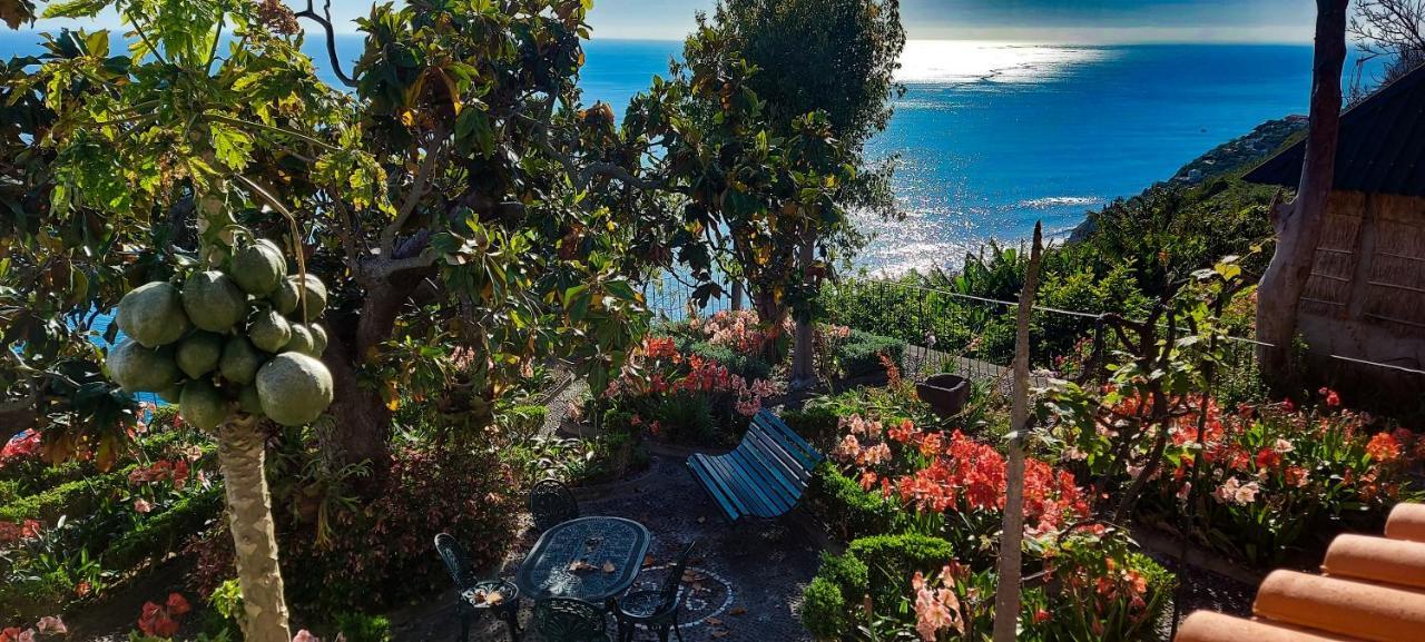 Torre Bella Gardens Villa Arco da Calheta  Ngoại thất bức ảnh