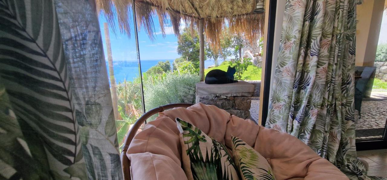 Torre Bella Gardens Villa Arco da Calheta  Ngoại thất bức ảnh