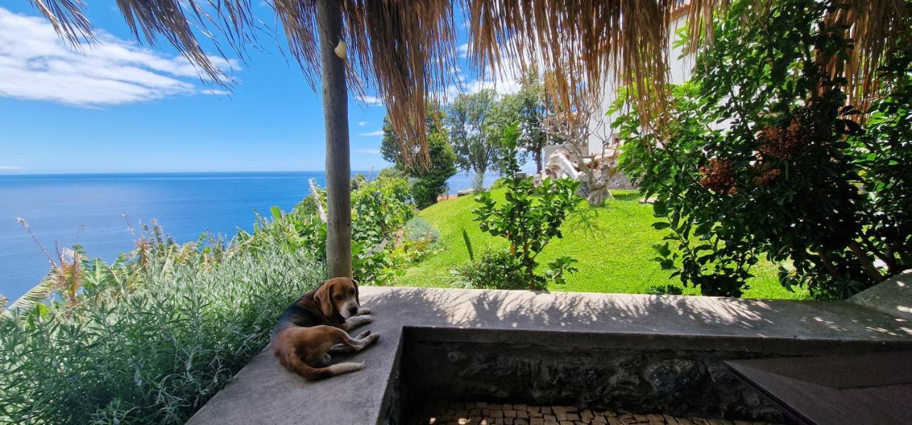Torre Bella Gardens Villa Arco da Calheta  Ngoại thất bức ảnh