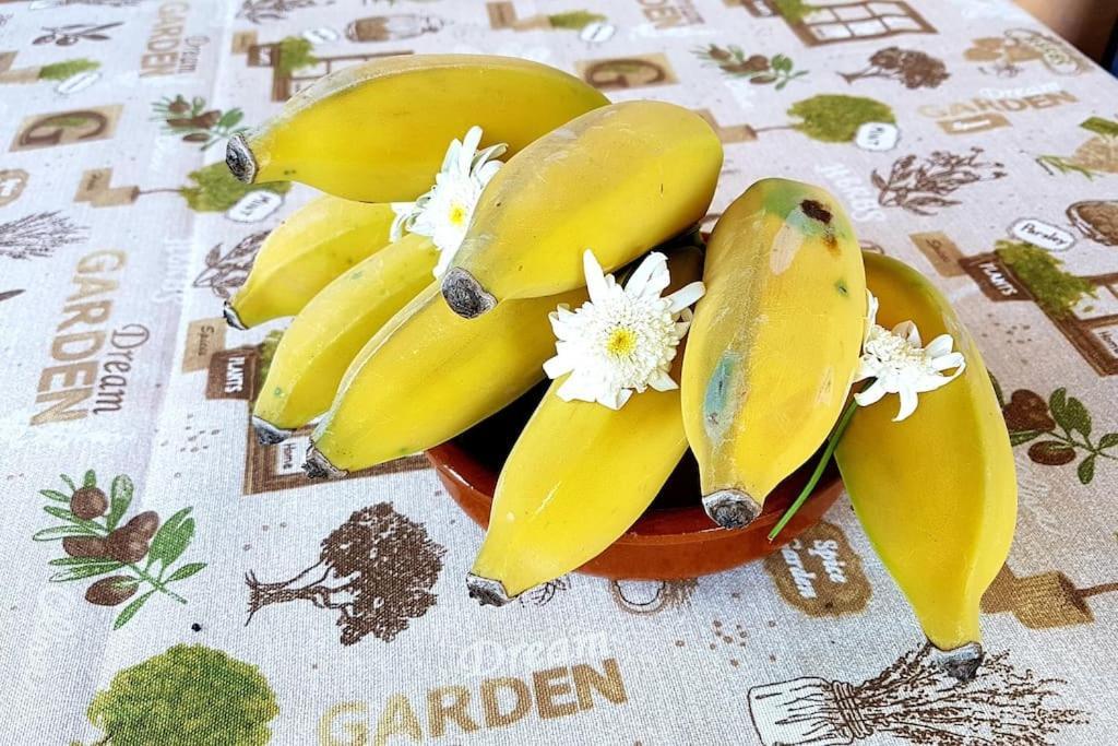 Torre Bella Gardens Villa Arco da Calheta  Ngoại thất bức ảnh