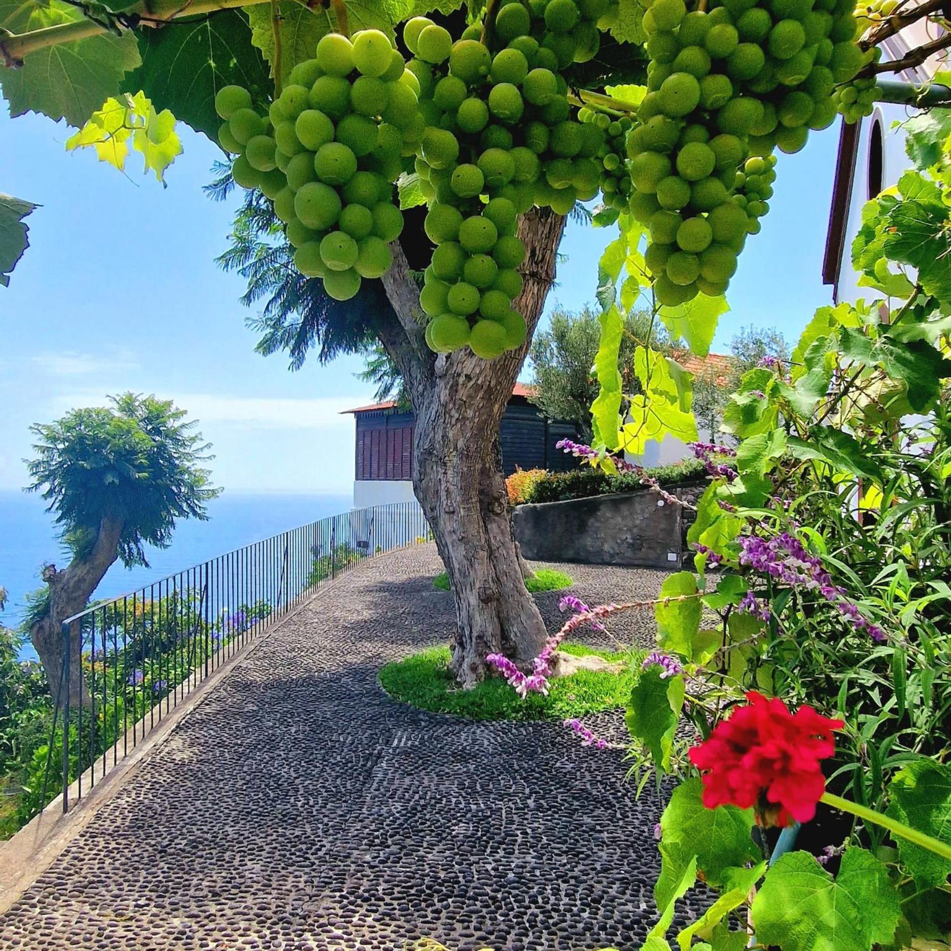Torre Bella Gardens Villa Arco da Calheta  Ngoại thất bức ảnh