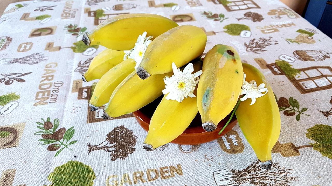 Torre Bella Gardens Villa Arco da Calheta  Ngoại thất bức ảnh