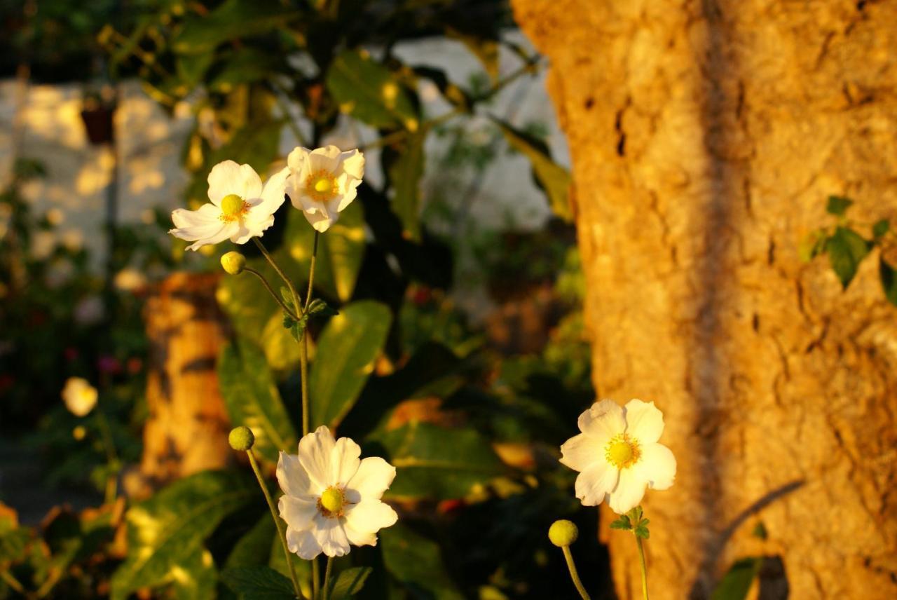 Torre Bella Gardens Villa Arco da Calheta  Ngoại thất bức ảnh