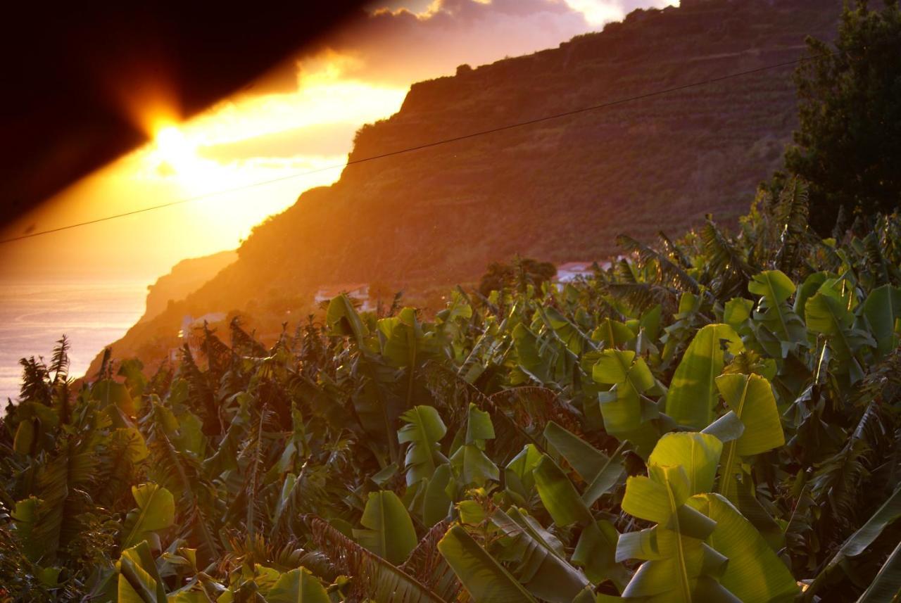 Torre Bella Gardens Villa Arco da Calheta  Ngoại thất bức ảnh