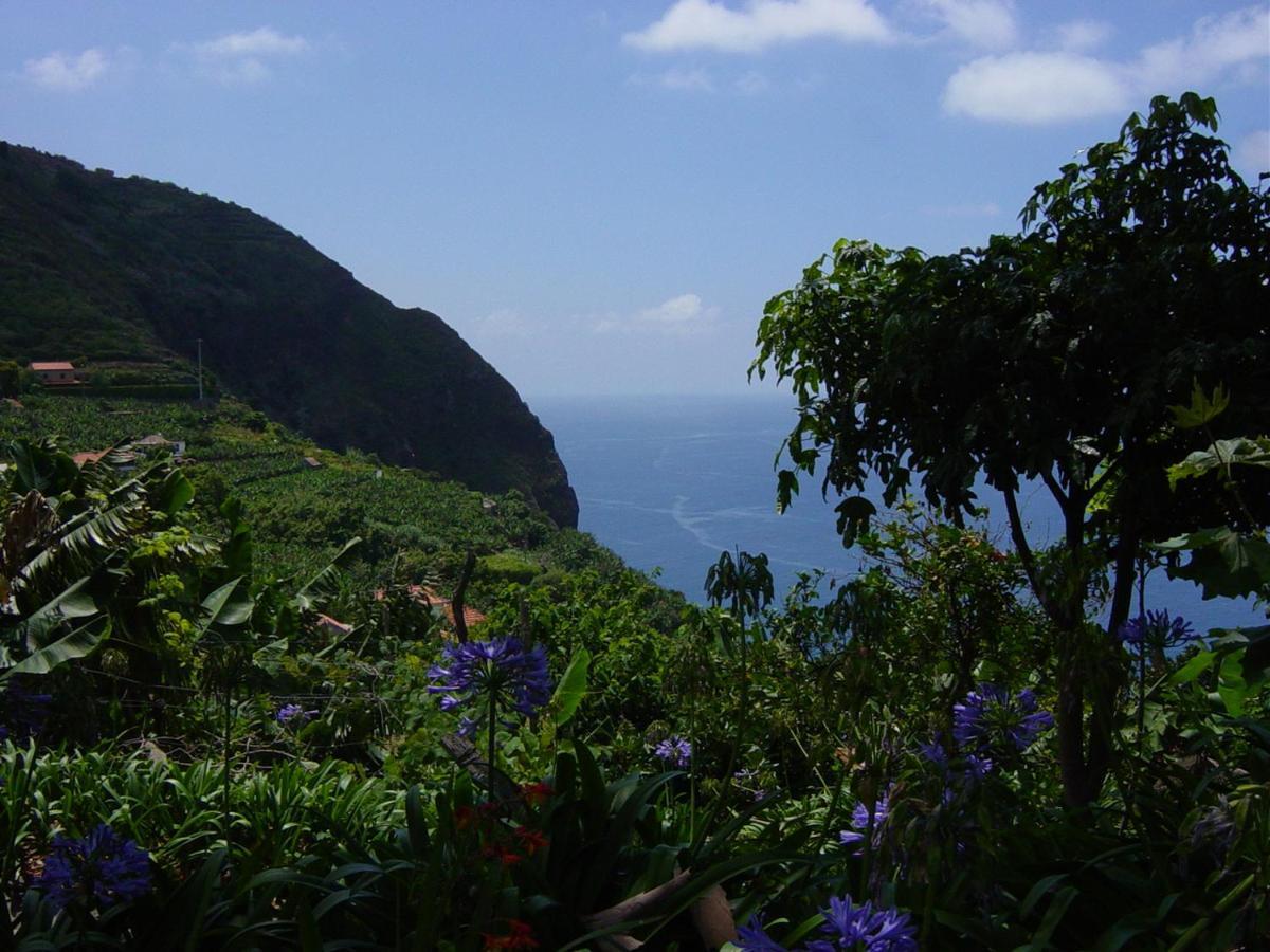 Torre Bella Gardens Villa Arco da Calheta  Ngoại thất bức ảnh